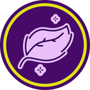 Ícone - Maciez e Praticidade